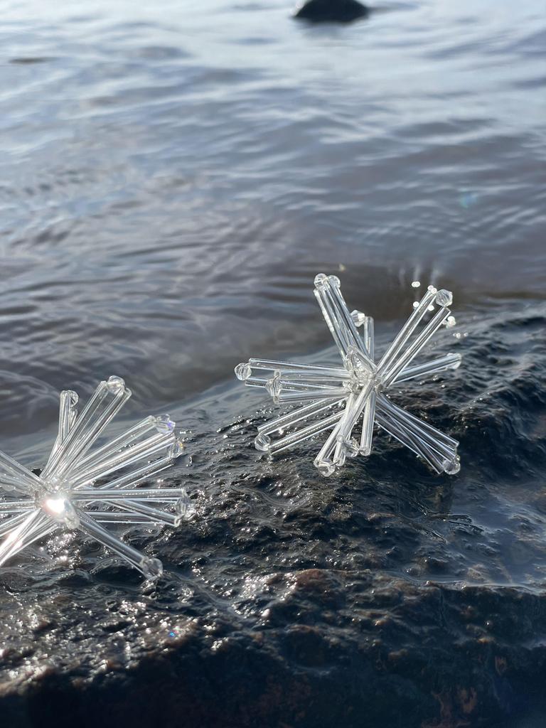 Астры прозрачные