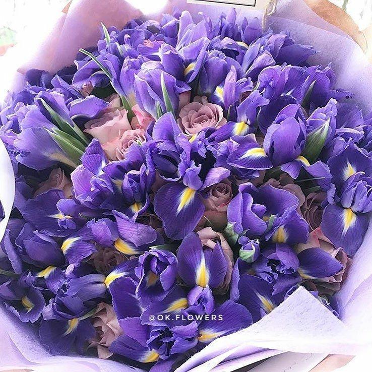 Ирисы и розы "Мемори Лейн"