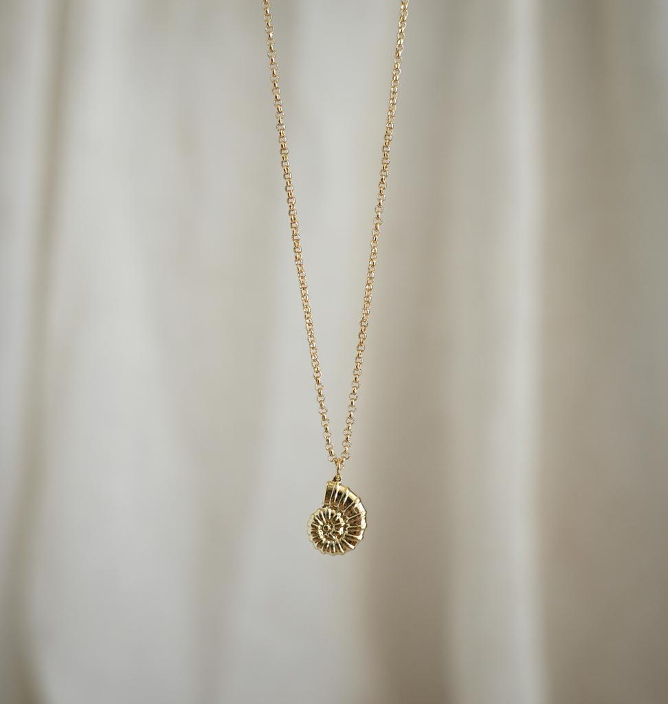 Ammonite on chain