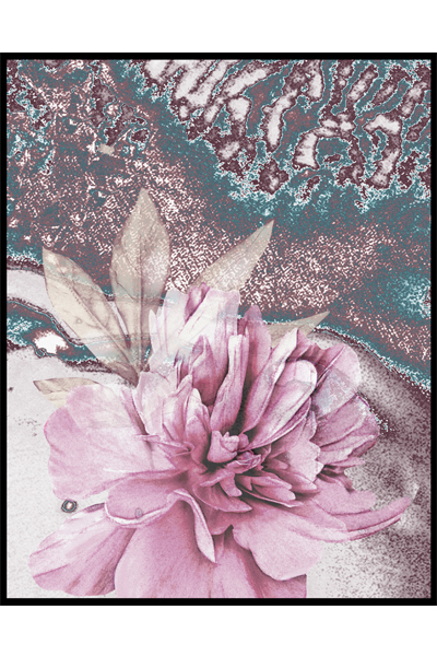 Постер Розовый пион  #2