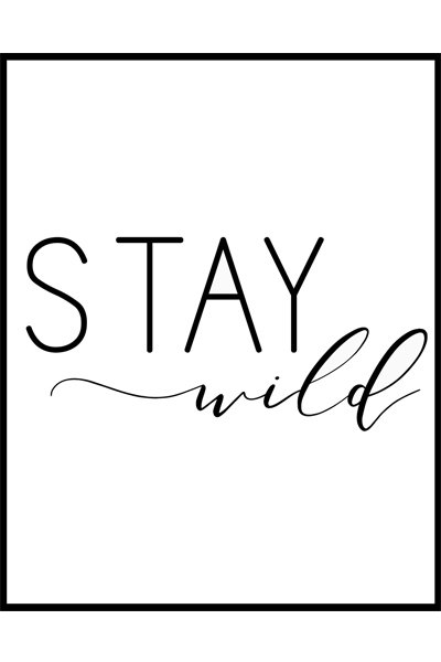 Постер Stay Wild