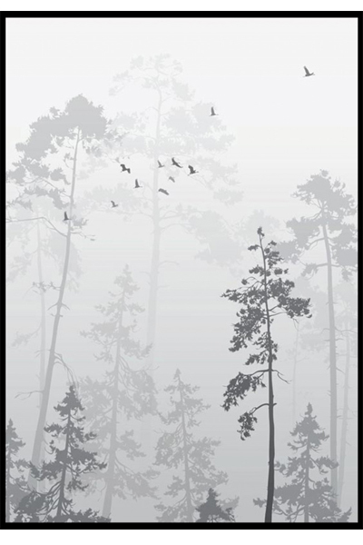 Постер Туманный лес