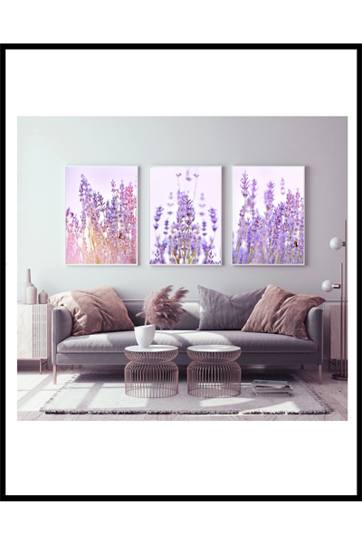 Лавандовое поле