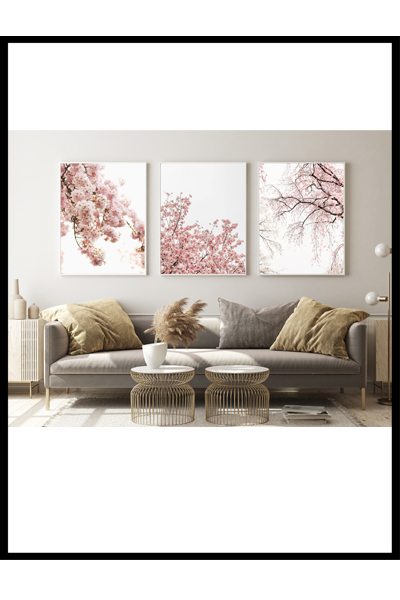 Цветение сакуры