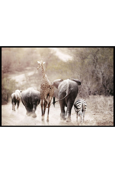 Постер Животные Саванны