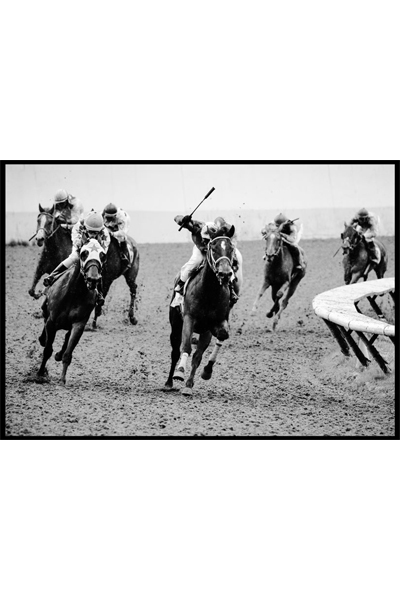 Постер Скачки на лошадях