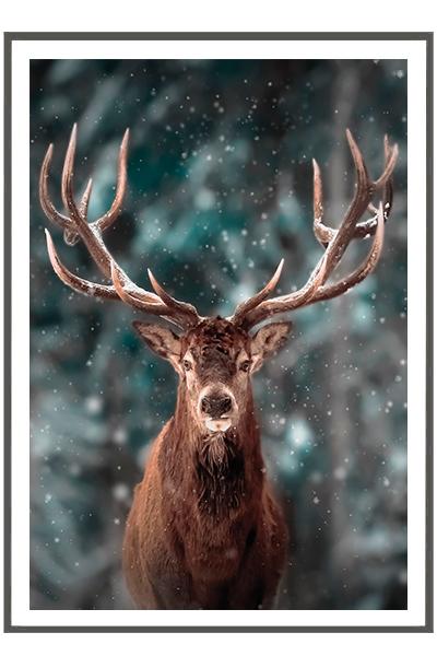 Постер Олень