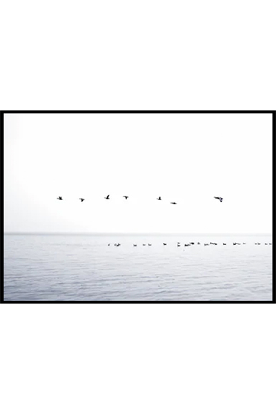 Постер Птицы над морем