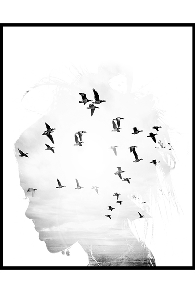 Постер Силуэт