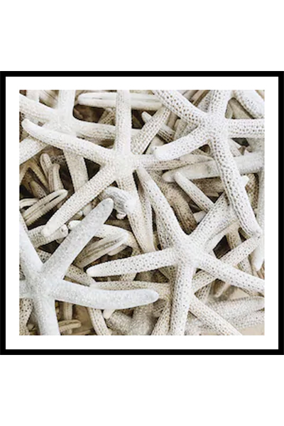 Постер Морские звезды