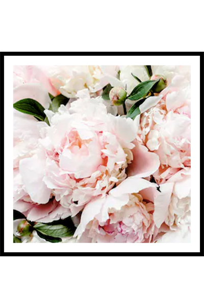 Постер Пионы #2