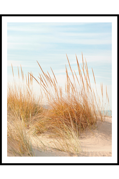 Постер Морские дюны