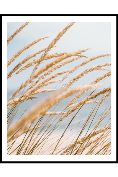 Постер Прибрежная трава