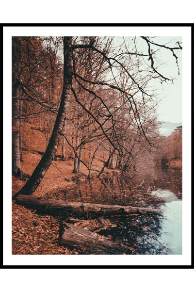 Постер  Берег