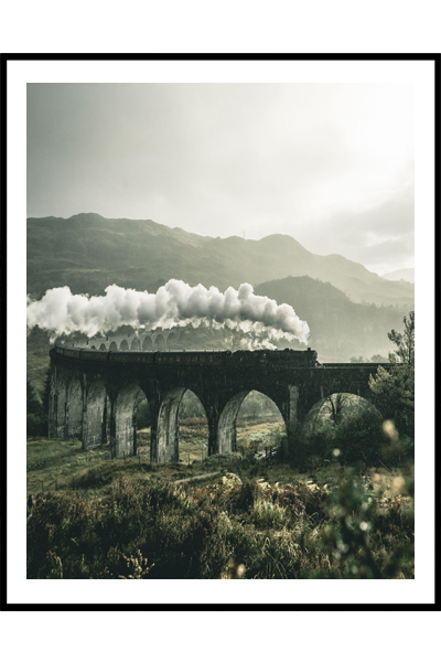 Постер  Поезд