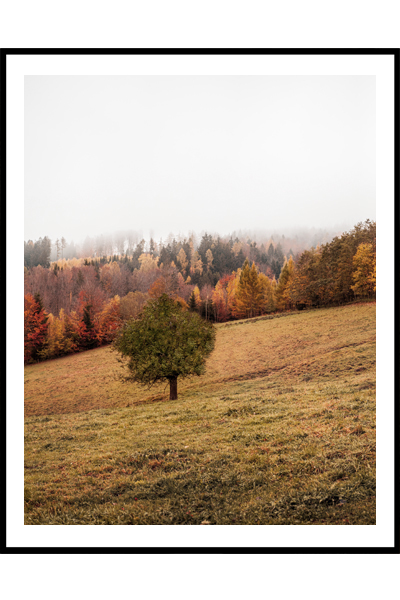 Постер Осеннее дерево