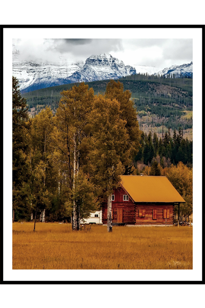 Постер Оранжевый дом