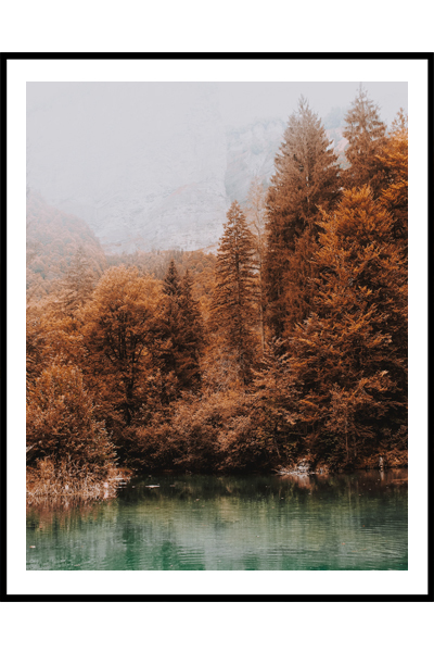 Постер Оранжевые ёлочки у озера