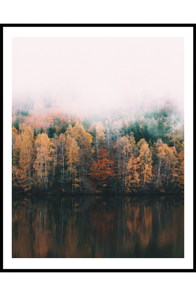 Постер Осенний лес