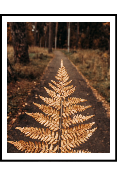 Постер Листок папоротника