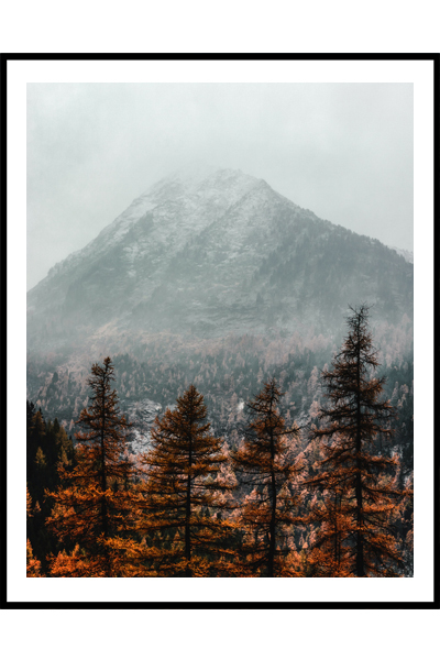 Постер  Осенняя гора
