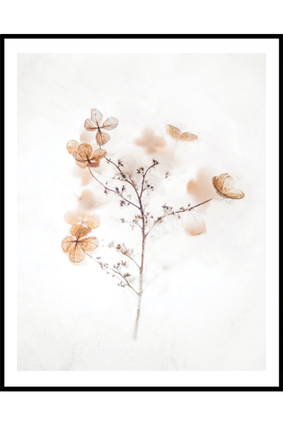 Постер Осенний лес в воде