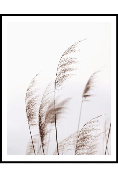 Постер Травинки