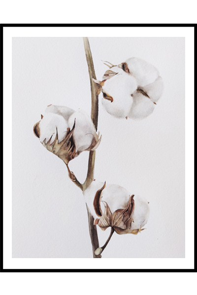 Постер Хлопок