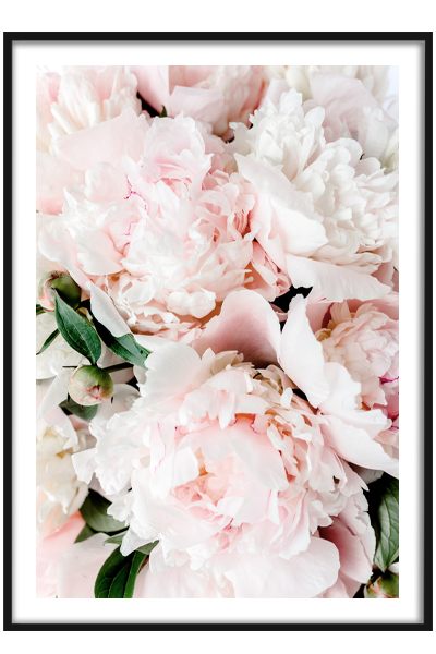 Постер Букет Пионов #2