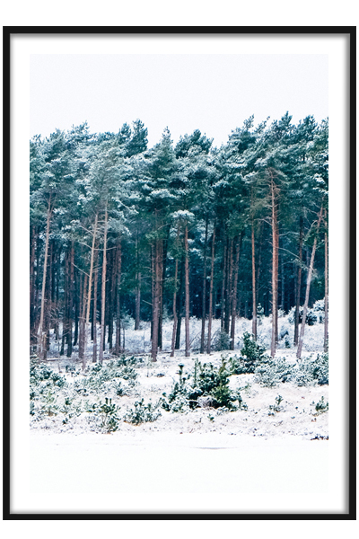 Постер  Зимний лес