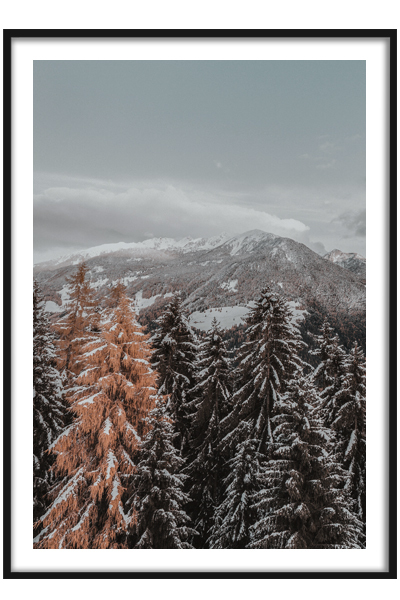 Постер  Зимний лес #3