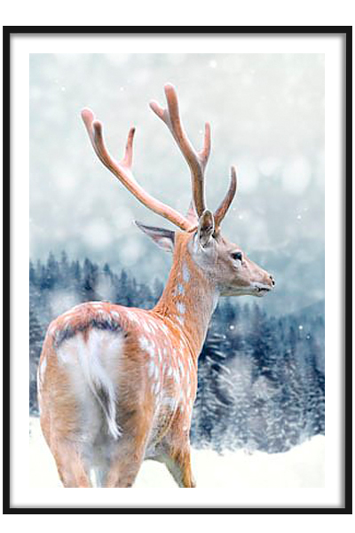 Постер  Лесной Олень