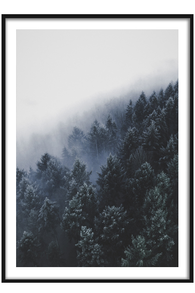 Постер Зимний лес в тумане