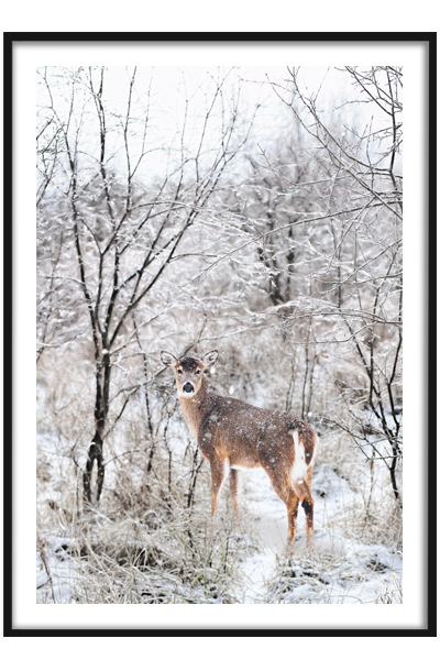 Постер Олень в снежном лесу