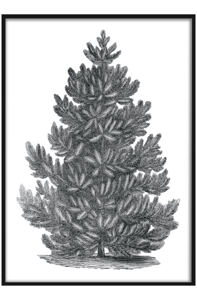 Постер Ёлка