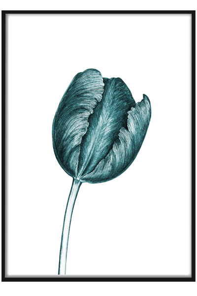 Постер  Ледяной цветок