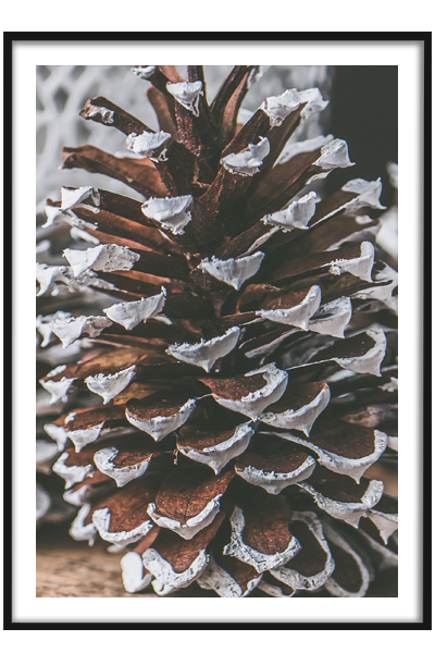 Новогодний постер Шишка