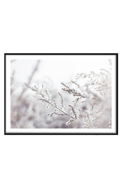 Постер Ветвь