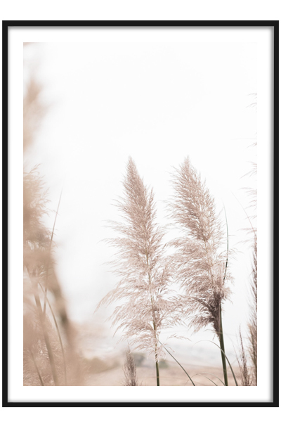 Постер Пампасная трава 5
