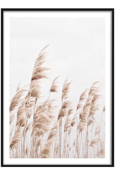 Постер Трава на ветру