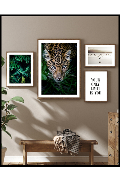 Готовое решение #172