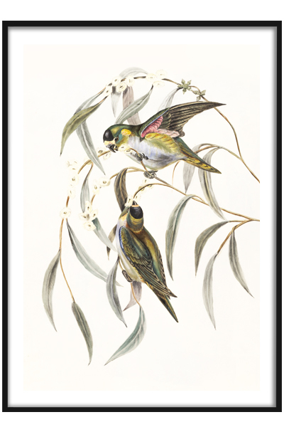 Постер Птички на ветке