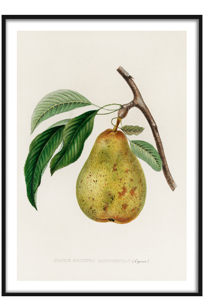 Постер Груша