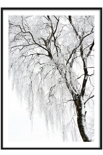 Постер Зимнее дерево