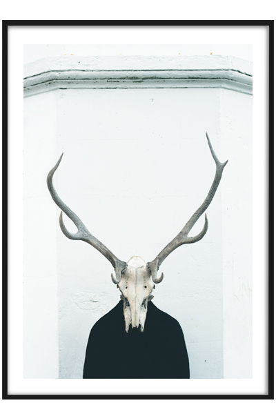 Постер Рога