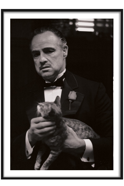 Постер Дон Карлеоне