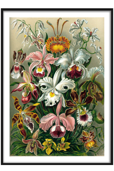 Постер Букет цветов