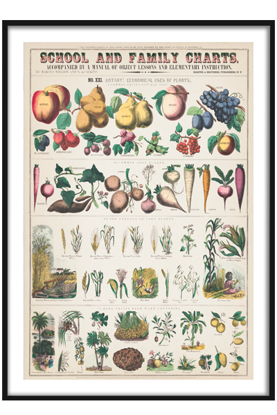 Постер Овощи