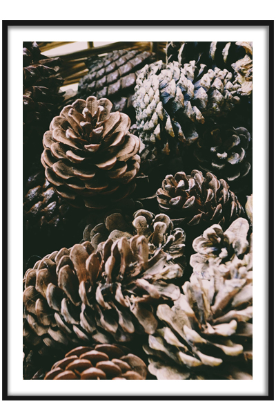 Постер Шишки