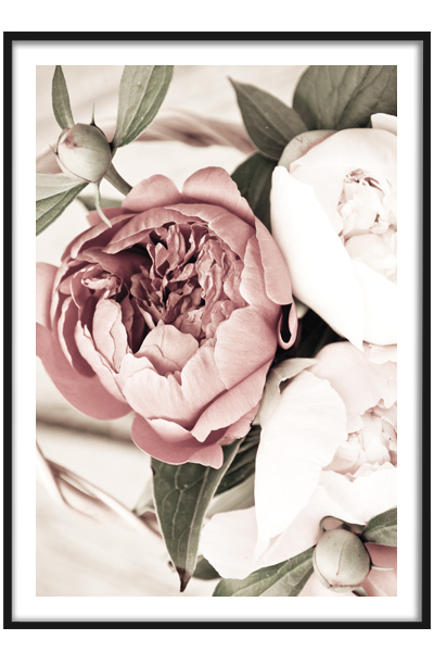 Постер  Пионы в корзине